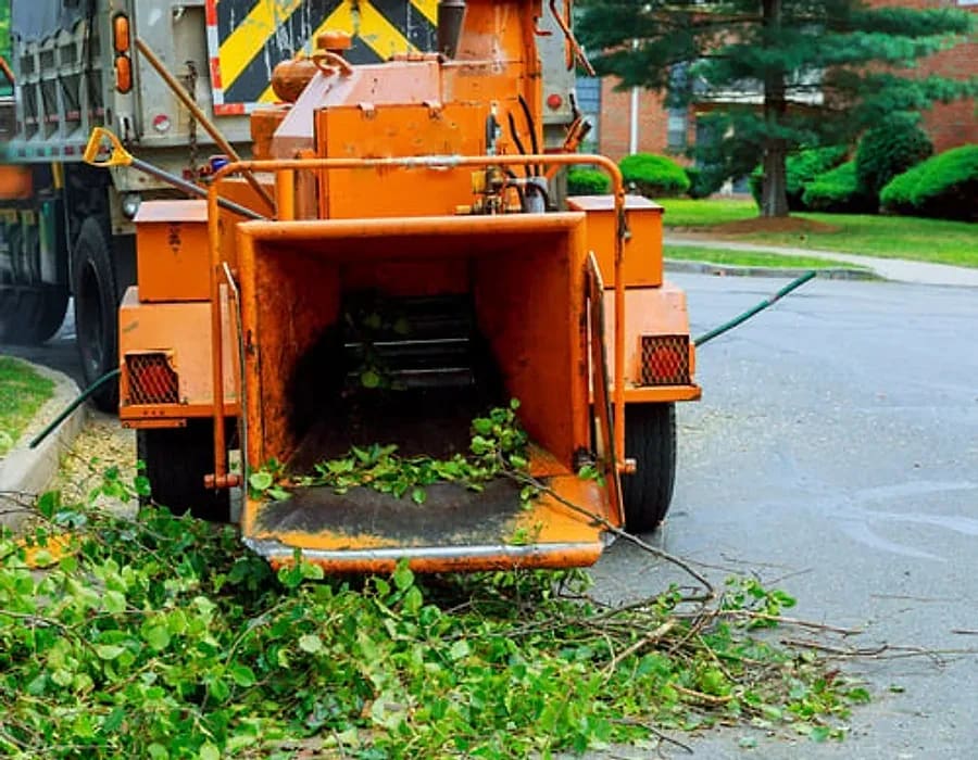 Wood chipper and collected yard debris during a property cleanup service